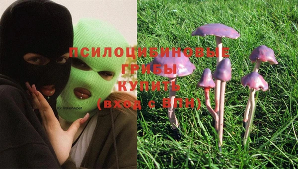 амф Лабытнанги