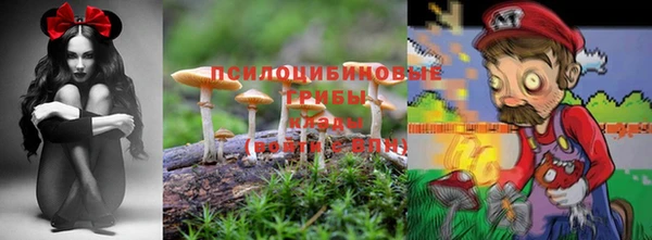 амф Лабытнанги