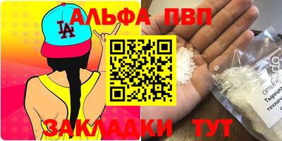 крисы Можга