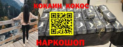 крисы Можга