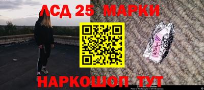 крисы Можга