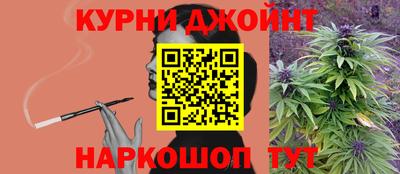 крисы Можга