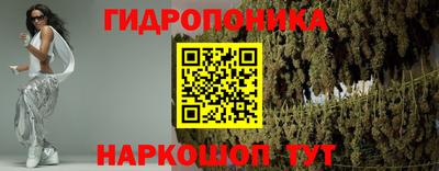 Альфа ПВП Моздок