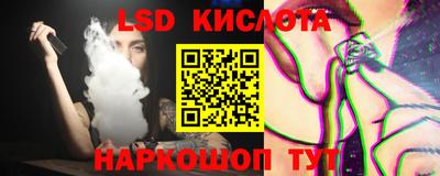крисы Можга
