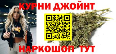 крисы Можга