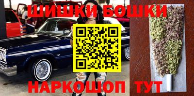 крисы Можга
