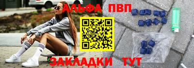 крисы Можга