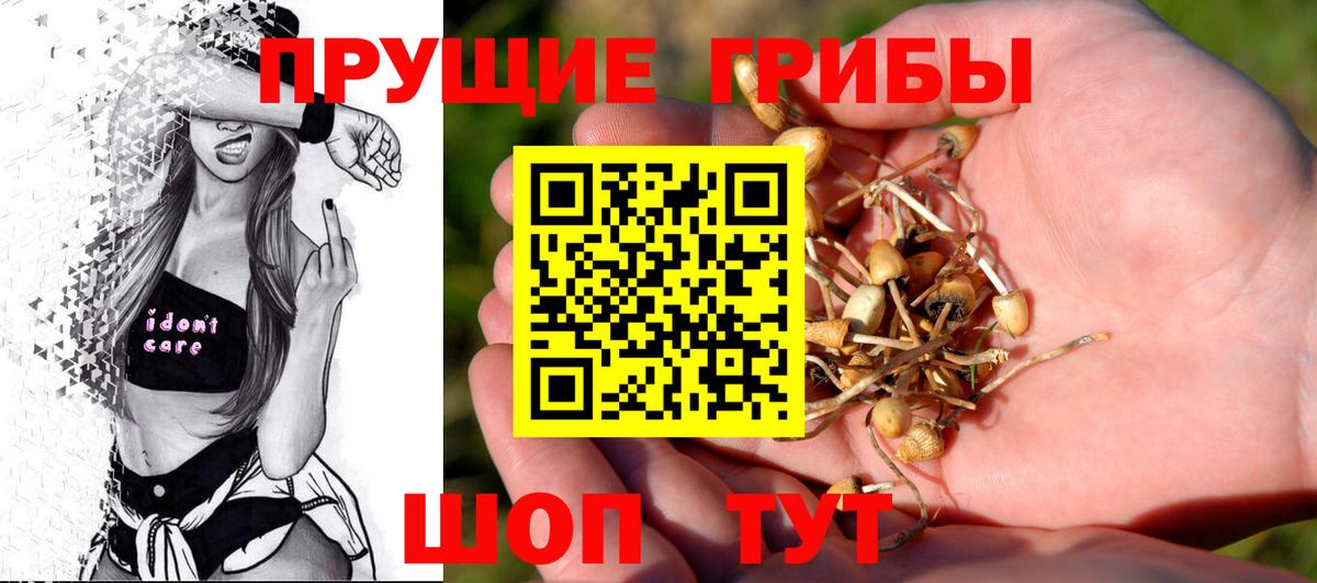 Галлюциногенные грибы мицелий  Вход с VPN  Стерлитамак 