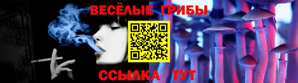Галлюциногенные грибы мухоморы Стерлитамак